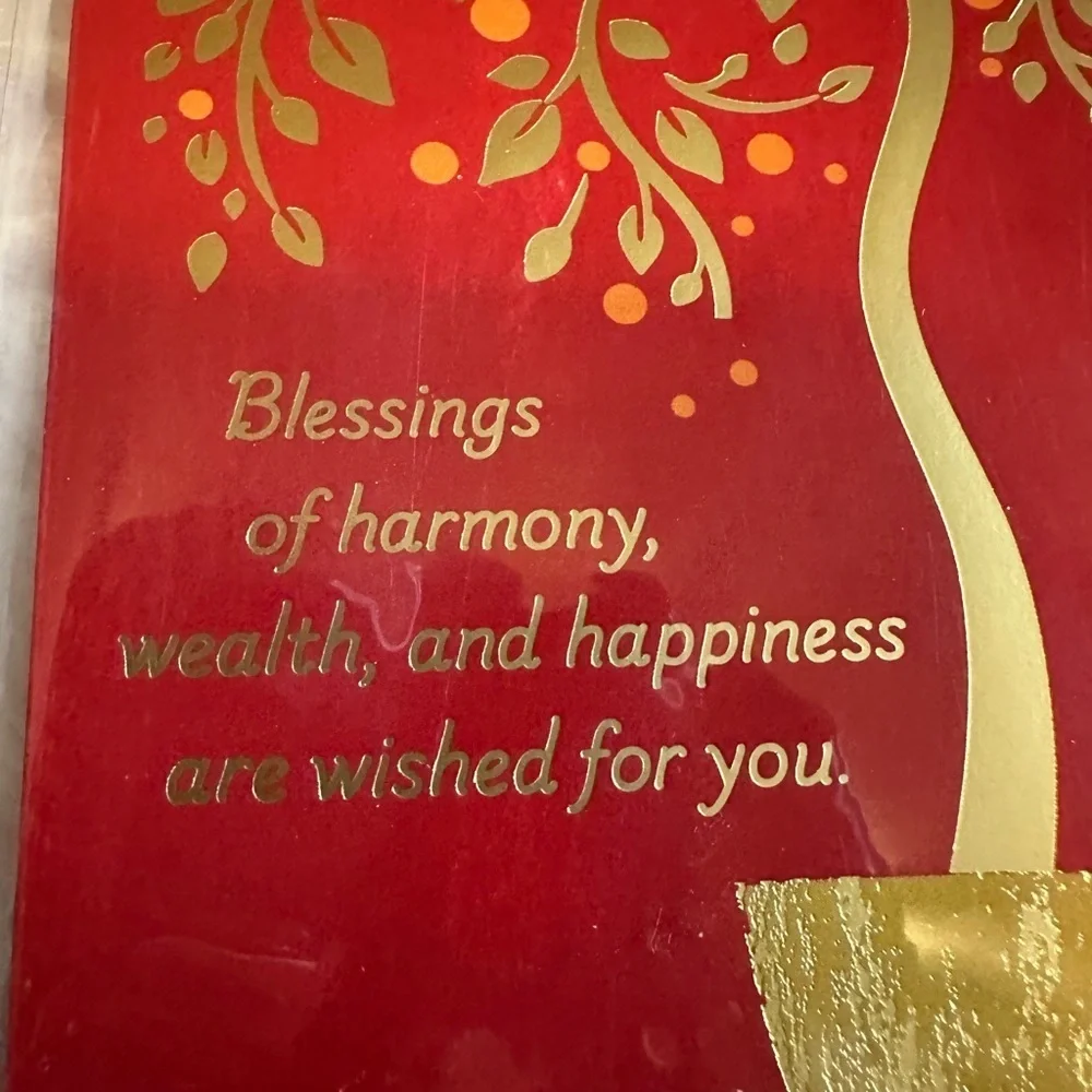 🩵5/$8 Hallmark Red and Gold money envelope